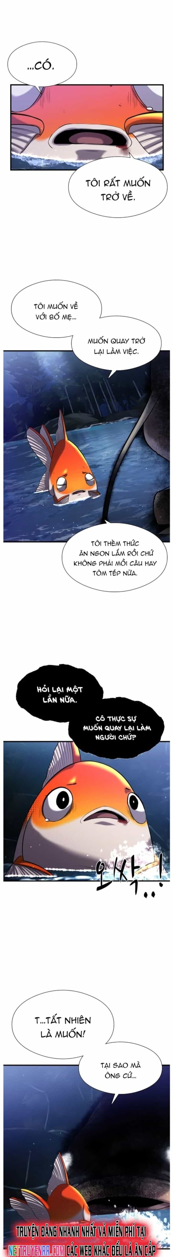 Hoá Thân Thành Cá - Chương 28 - ảnh 11