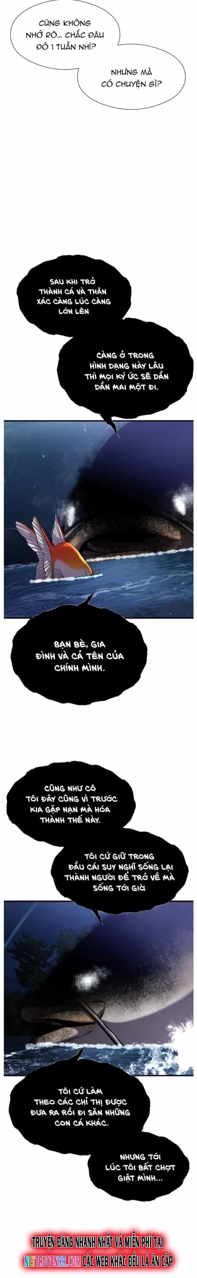 Hoá Thân Thành Cá - Chương 28 - ảnh 8