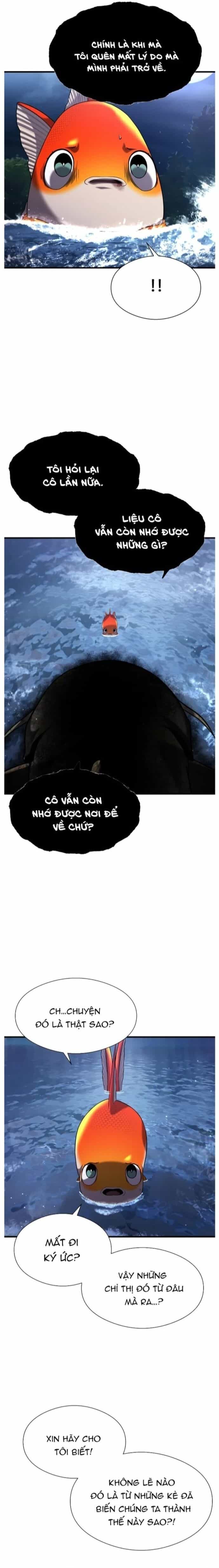 Hoá Thân Thành Cá - Chương 28 - ảnh 9