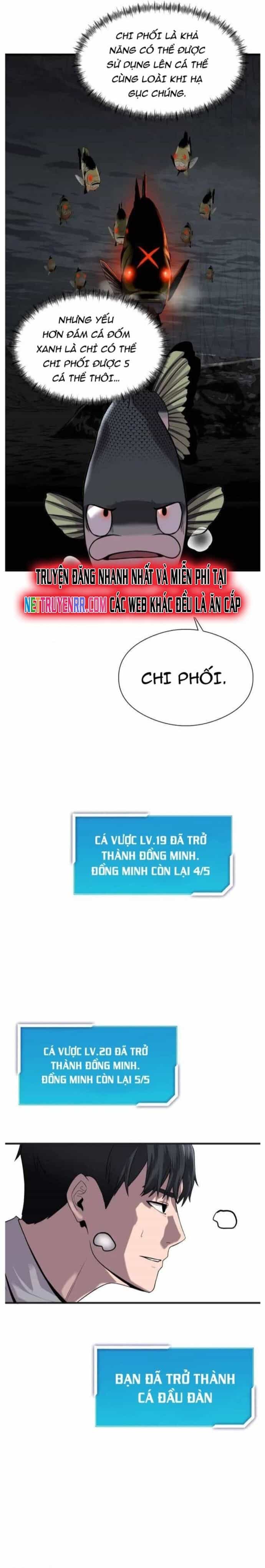 Hoá Thân Thành Cá - Chương 29 - ảnh 28