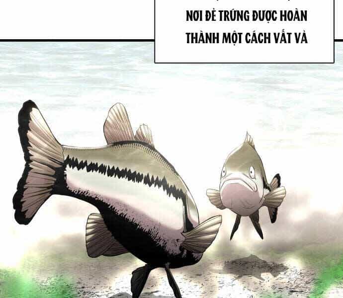 Hoá Thân Thành Cá - Chương 3 - ảnh 64