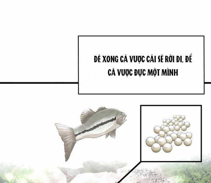 Hoá Thân Thành Cá - Chương 3 - ảnh 66