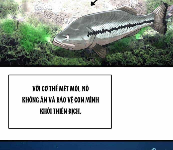 Hoá Thân Thành Cá - Chương 3 - ảnh 67