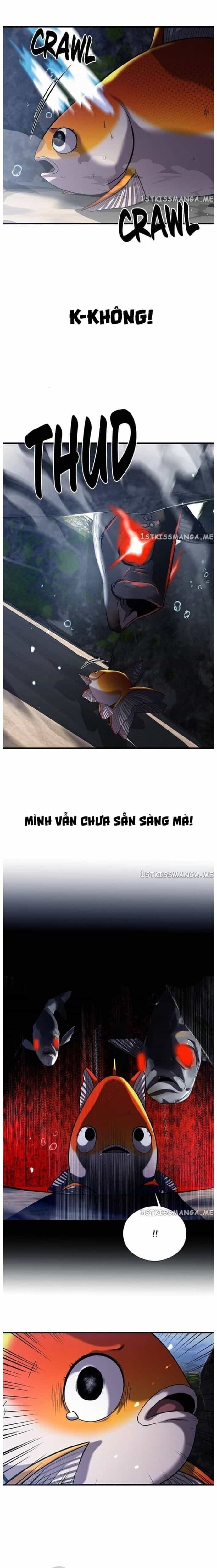 Hoá Thân Thành Cá - Chương 30 - ảnh 21