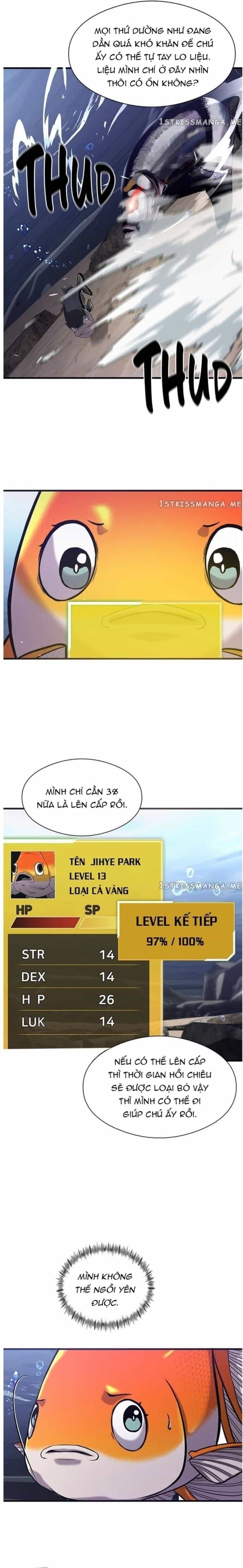 Hoá Thân Thành Cá - Chương 31 - ảnh 19