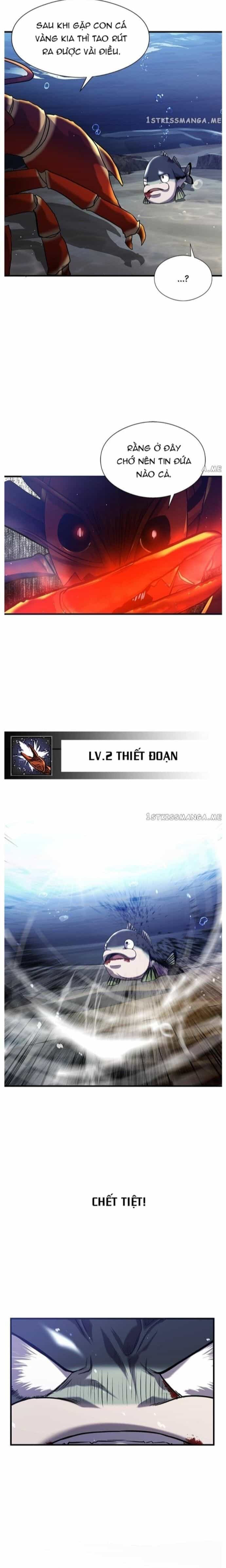 Hoá Thân Thành Cá - Chương 33 - ảnh 13