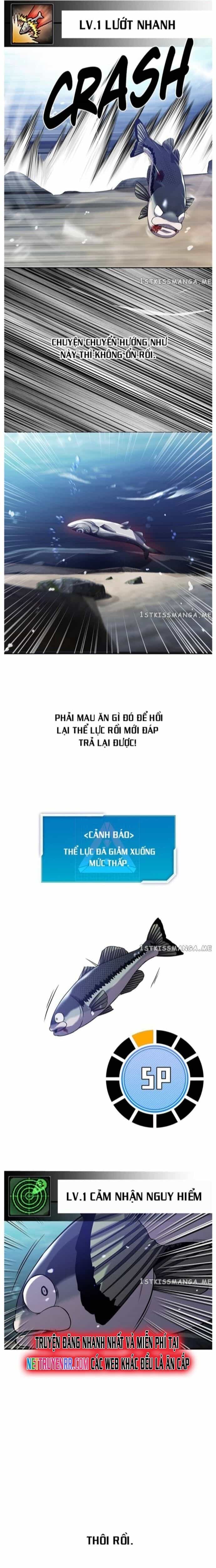 Hoá Thân Thành Cá - Chương 33 - ảnh 14