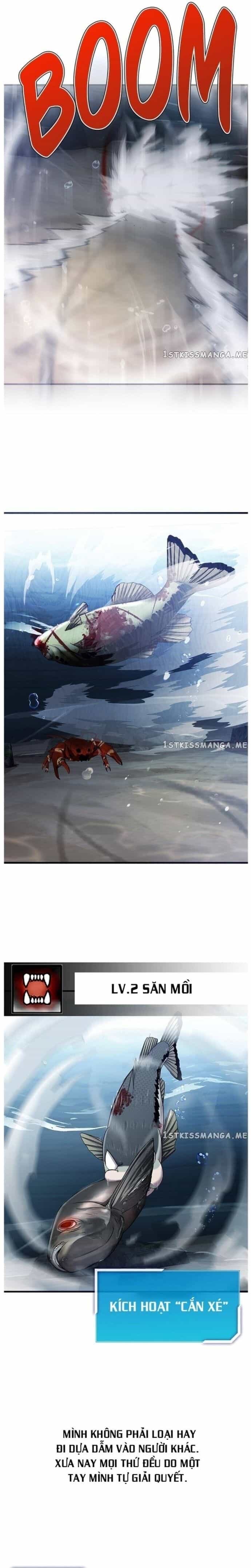 Hoá Thân Thành Cá - Chương 33 - ảnh 16