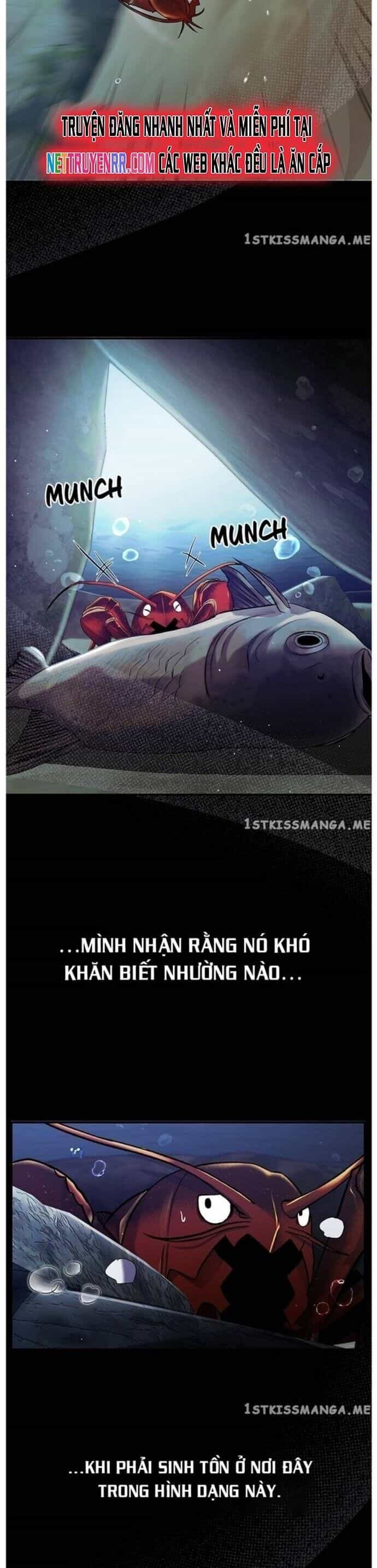 Hoá Thân Thành Cá - Chương 34 - ảnh 17
