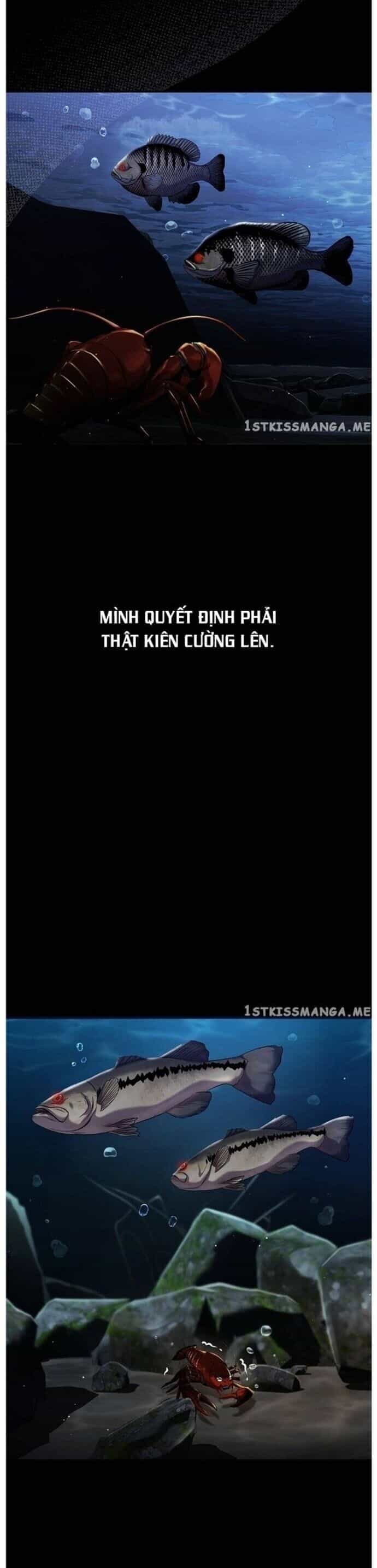 Hoá Thân Thành Cá - Chương 34 - ảnh 18