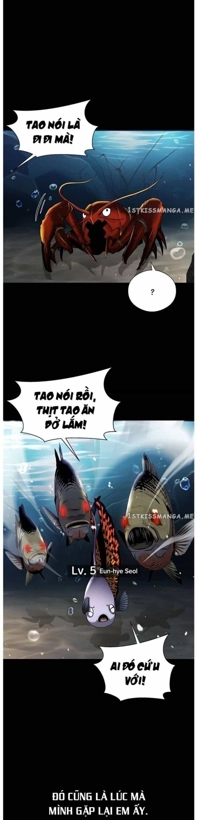 Hoá Thân Thành Cá - Chương 34 - ảnh 21