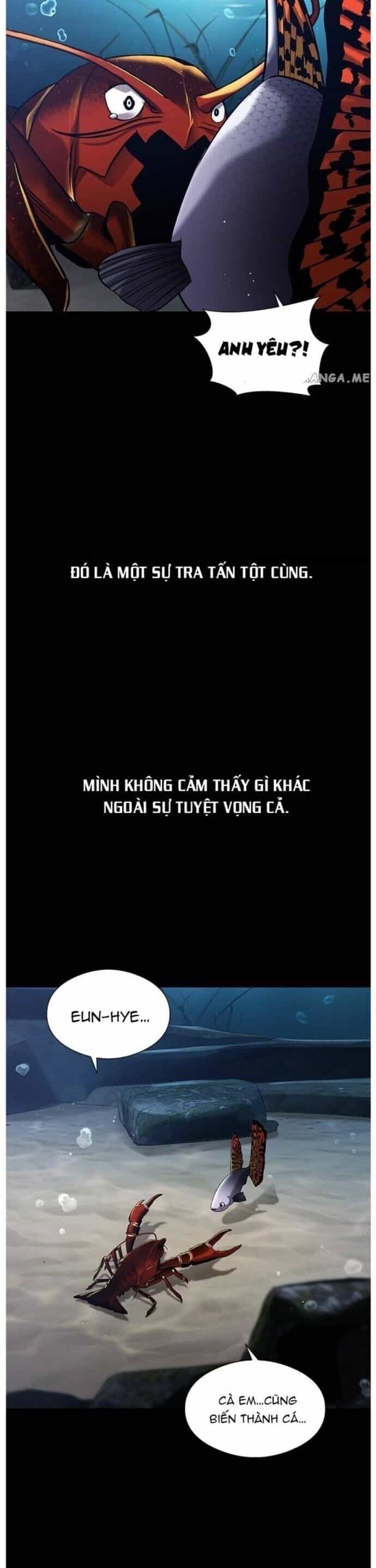 Hoá Thân Thành Cá - Chương 34 - ảnh 24