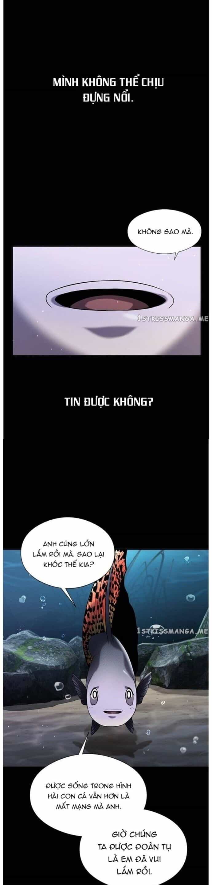 Hoá Thân Thành Cá - Chương 34 - ảnh 25