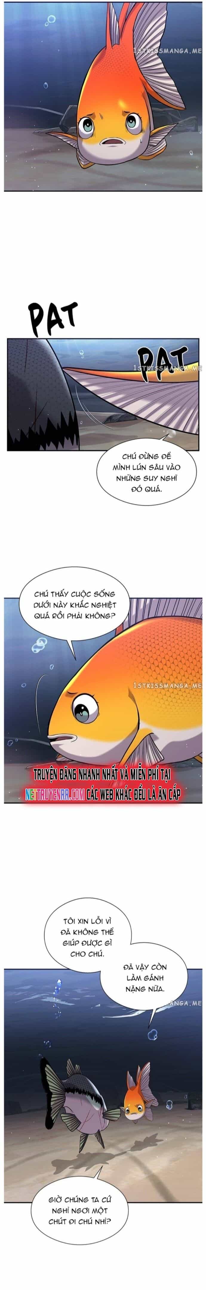 Hoá Thân Thành Cá - Chương 35 - ảnh 10