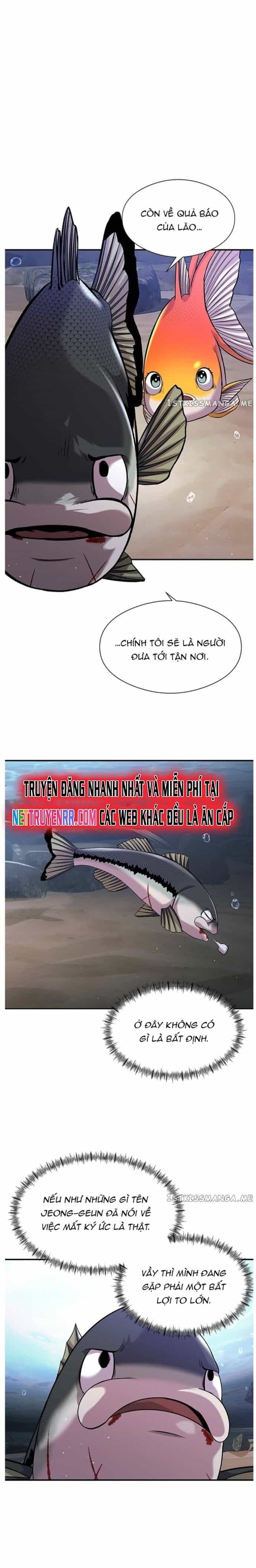 Hoá Thân Thành Cá - Chương 35 - ảnh 19