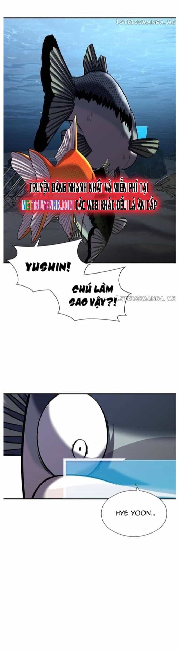 Hoá Thân Thành Cá - Chương 35 - ảnh 51