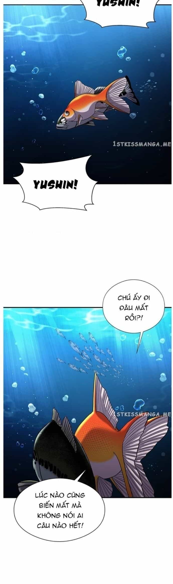 Hoá Thân Thành Cá - Chương 36 - ảnh 28