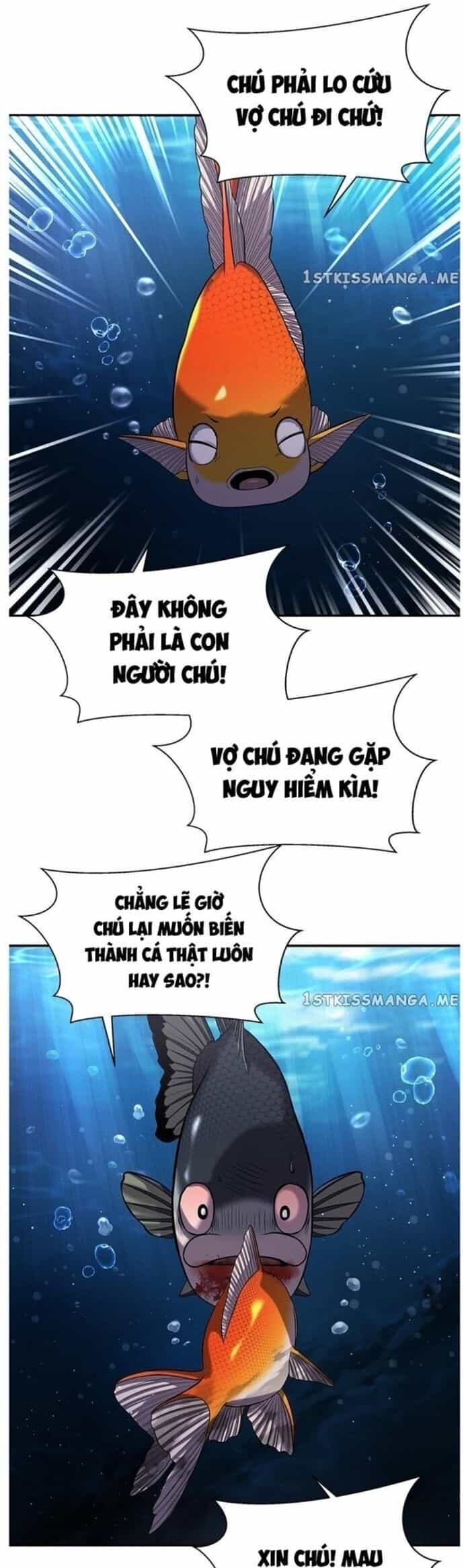 Hoá Thân Thành Cá - Chương 37 - ảnh 31