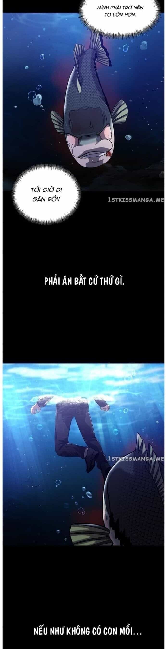 Hoá Thân Thành Cá - Chương 37 - ảnh 4