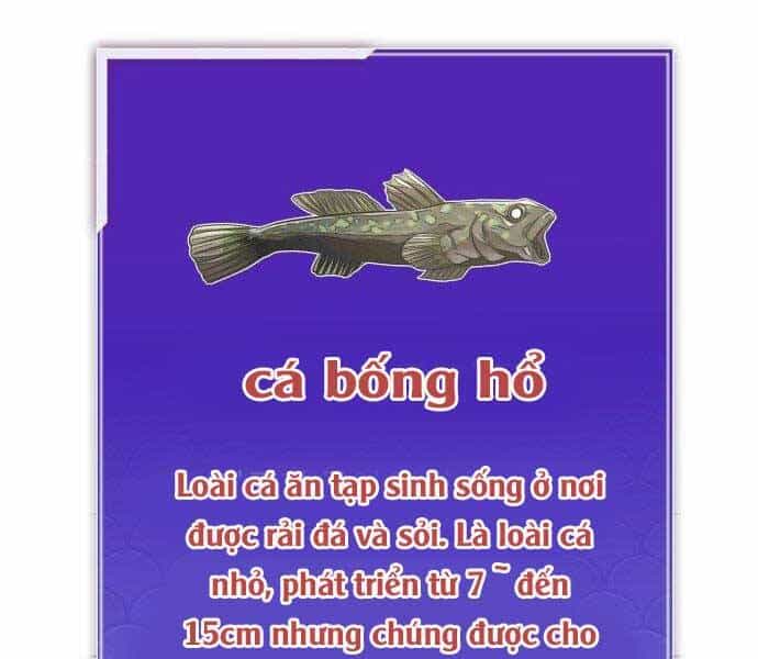 Hoá Thân Thành Cá - Chương 4 - ảnh 194