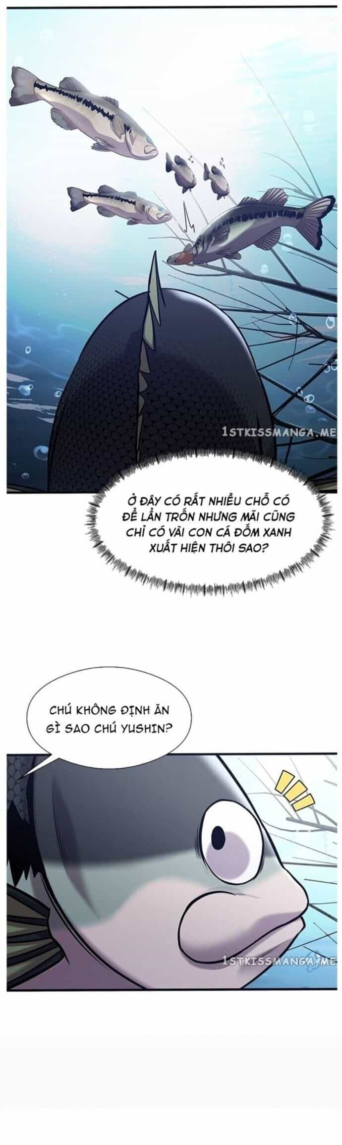 Hoá Thân Thành Cá - Chương 40 - ảnh 23