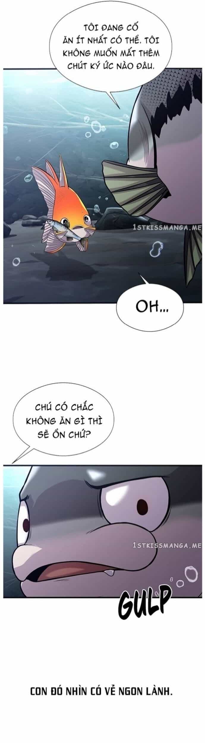 Hoá Thân Thành Cá - Chương 40 - ảnh 24