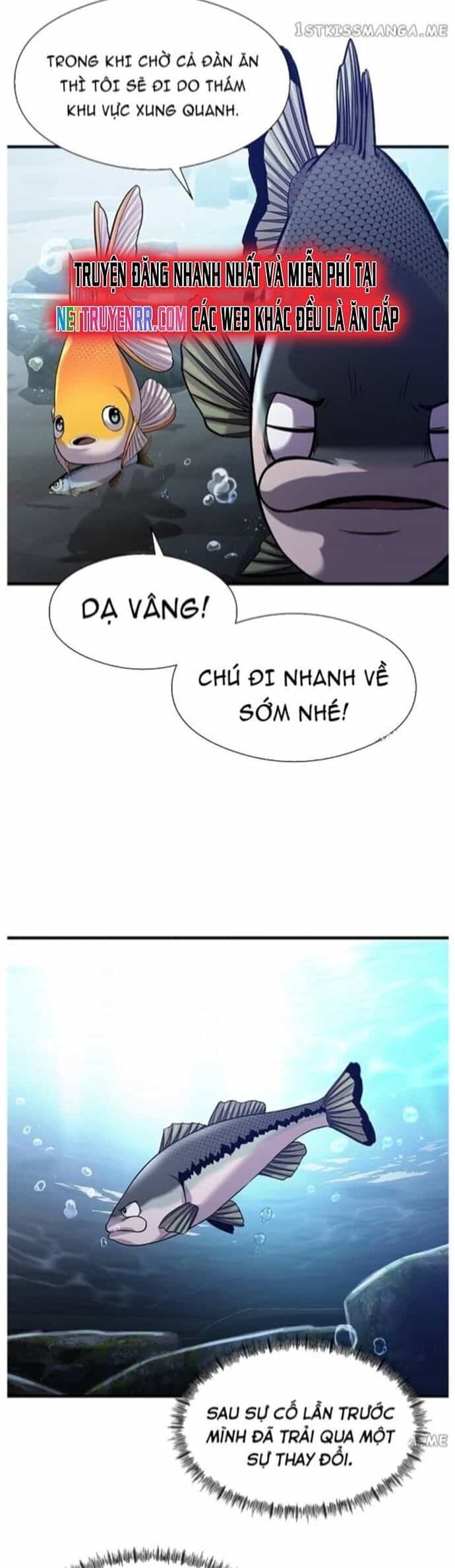 Hoá Thân Thành Cá - Chương 40 - ảnh 26