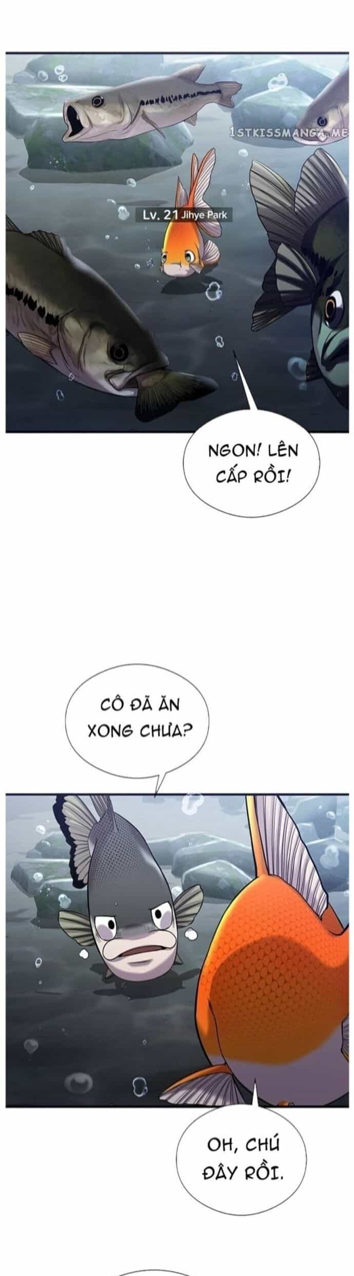 Hoá Thân Thành Cá - Chương 40 - ảnh 32
