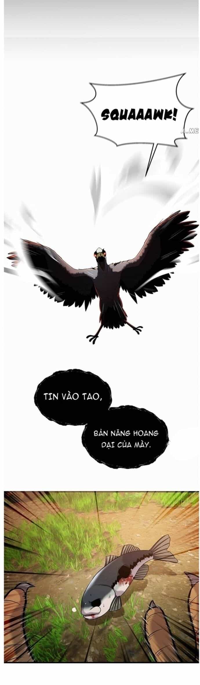 Hoá Thân Thành Cá - Chương 41 - ảnh 13