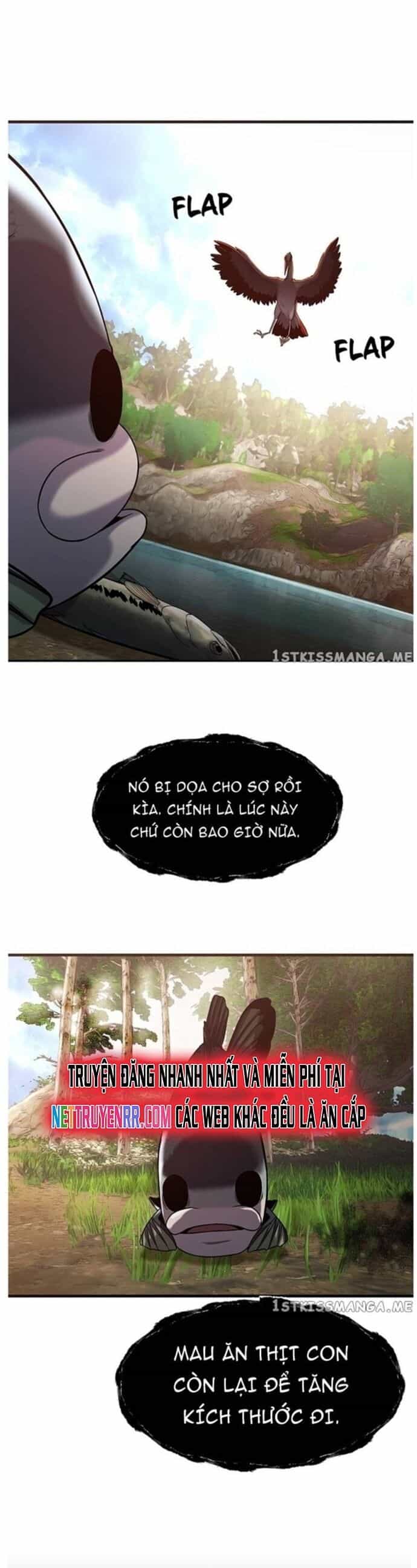 Hoá Thân Thành Cá - Chương 42 - ảnh 31
