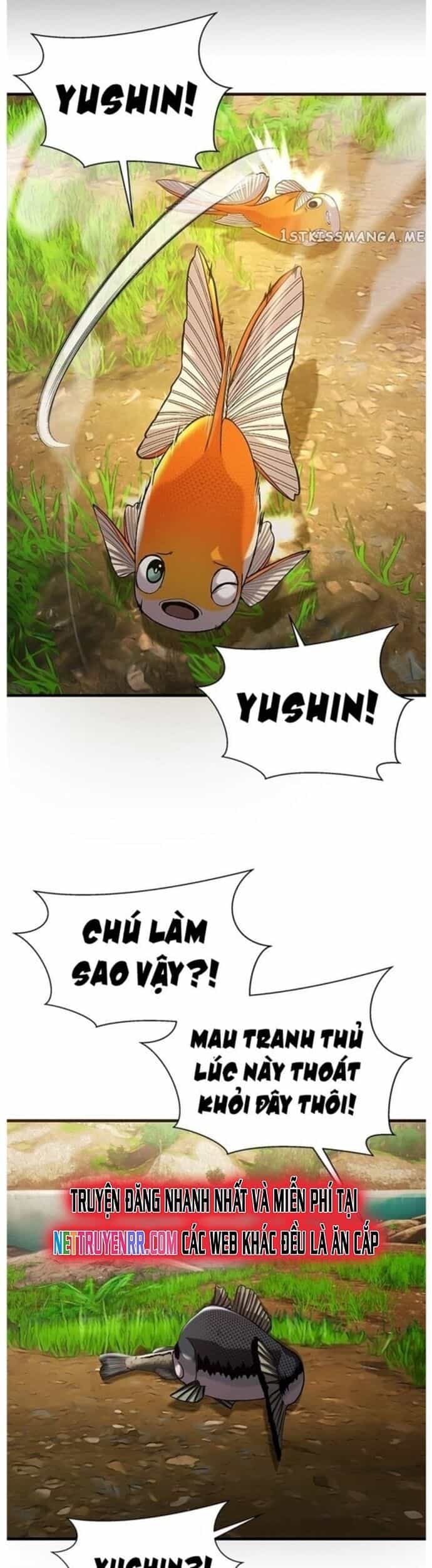 Hoá Thân Thành Cá - Chương 42 - ảnh 34