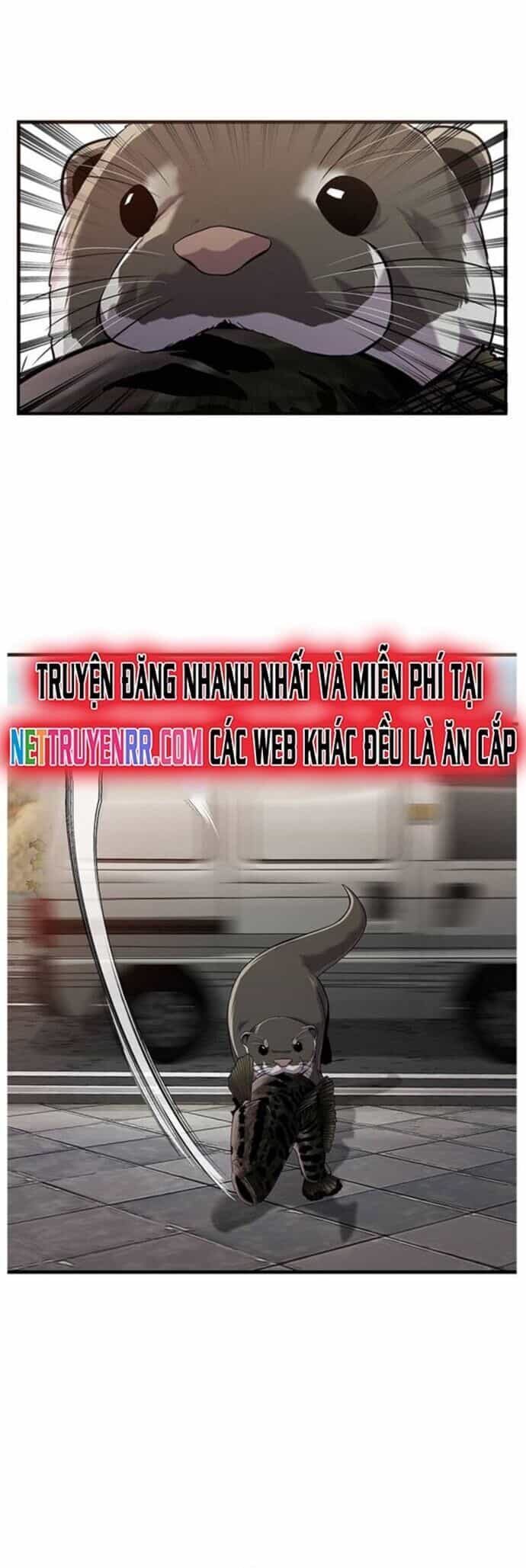 Hoá Thân Thành Cá - Chương 43 - ảnh 10