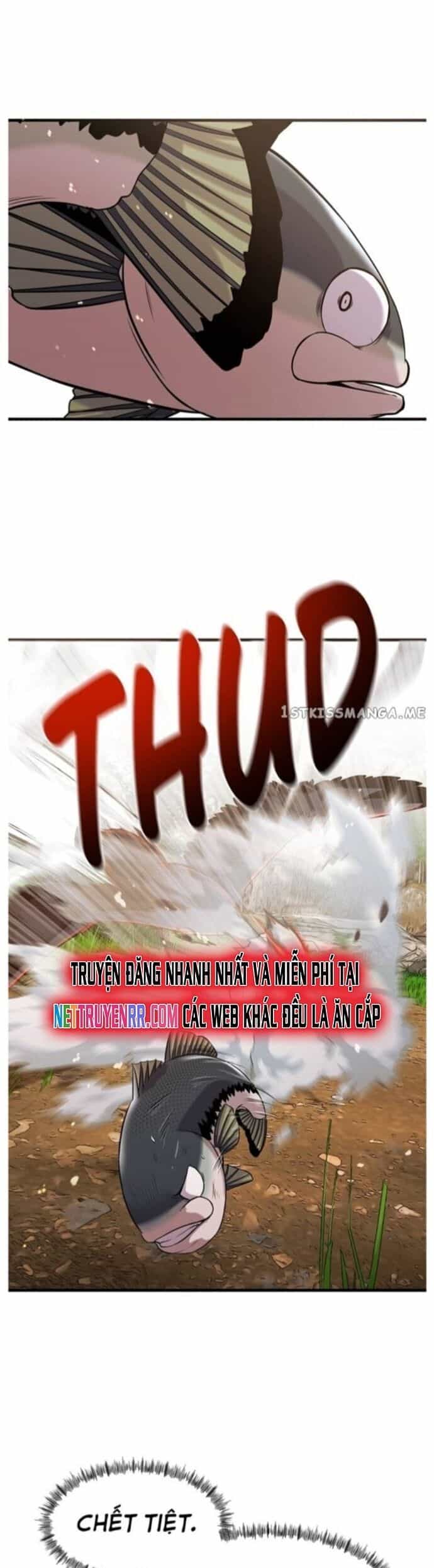 Hoá Thân Thành Cá - Chương 44 - ảnh 14