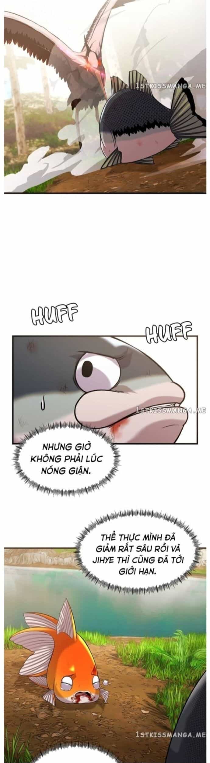 Hoá Thân Thành Cá - Chương 44 - ảnh 18