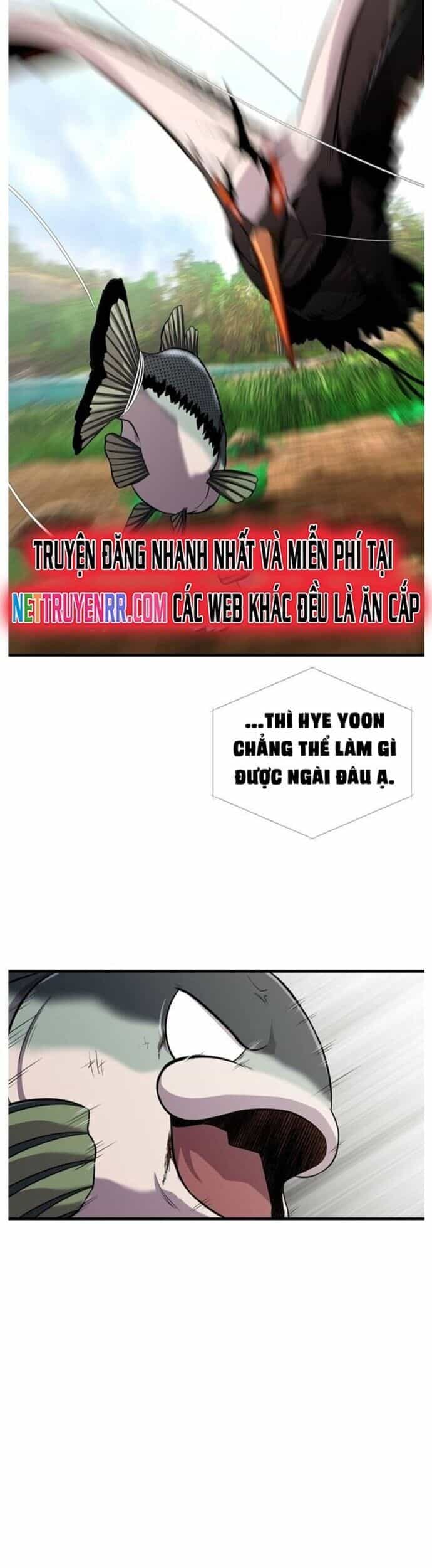 Hoá Thân Thành Cá - Chương 45 - ảnh 46