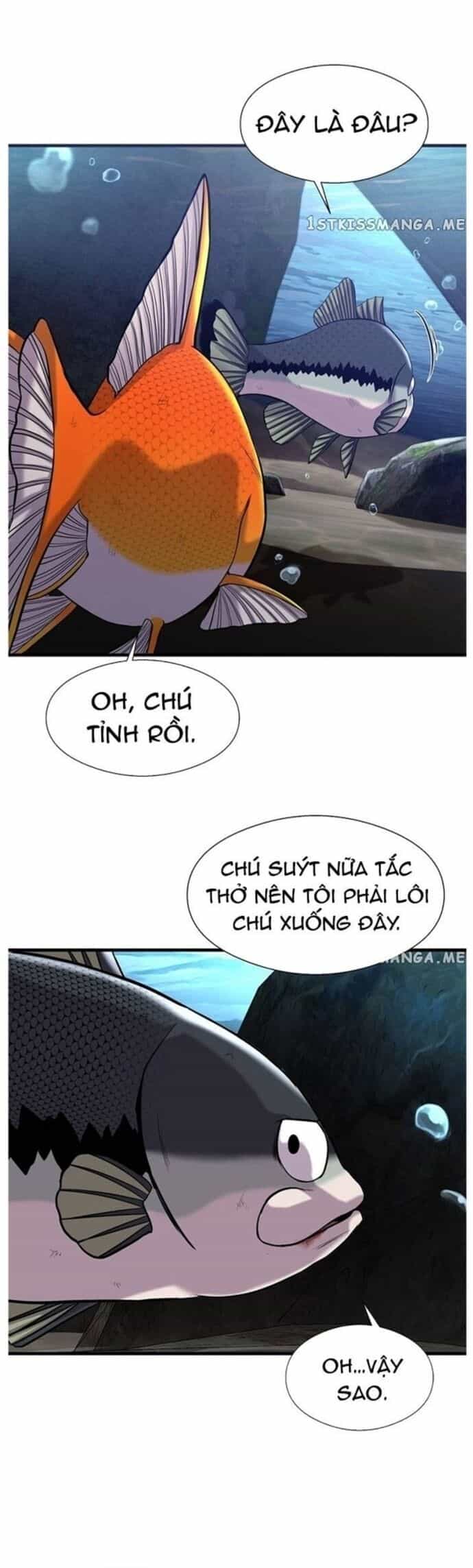 Hoá Thân Thành Cá - Chương 46 - ảnh 32