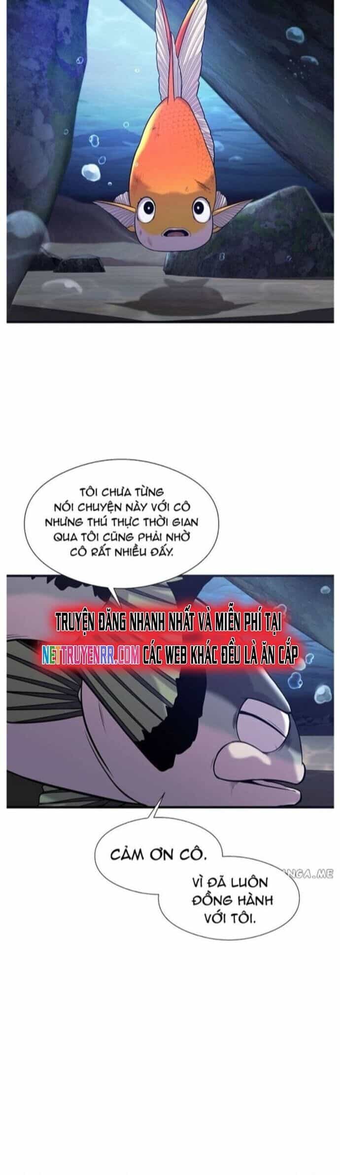 Hoá Thân Thành Cá - Chương 46 - ảnh 36