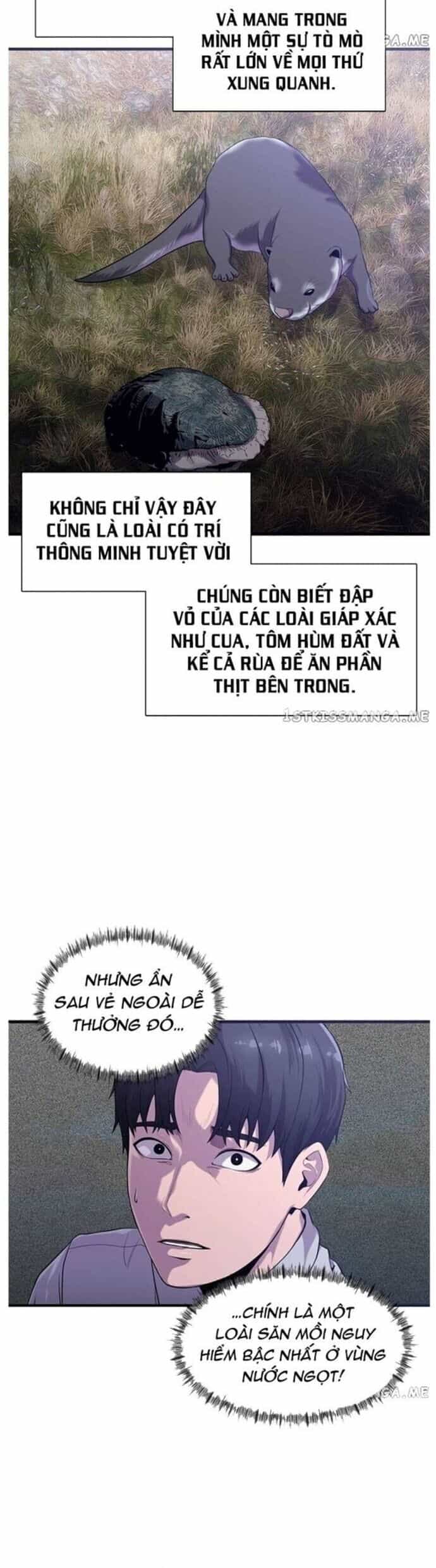Hoá Thân Thành Cá - Chương 48 - ảnh 20
