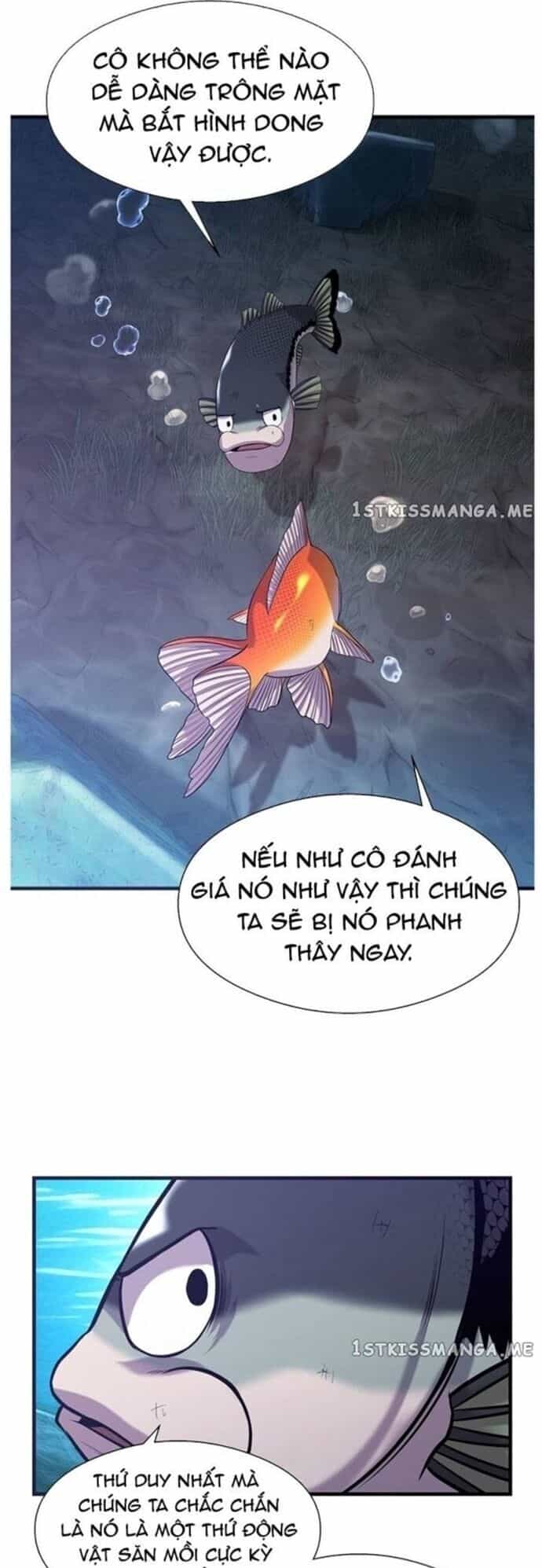 Hoá Thân Thành Cá - Chương 48 - ảnh 29