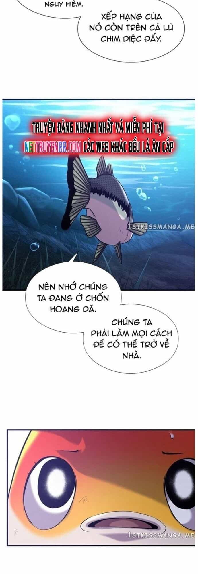 Hoá Thân Thành Cá - Chương 48 - ảnh 30