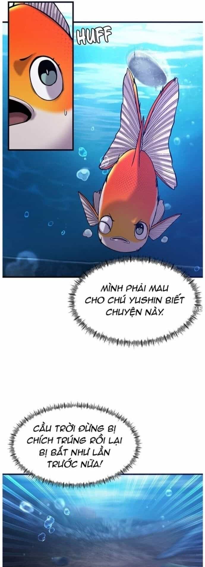 Hoá Thân Thành Cá - Chương 49 - ảnh 15