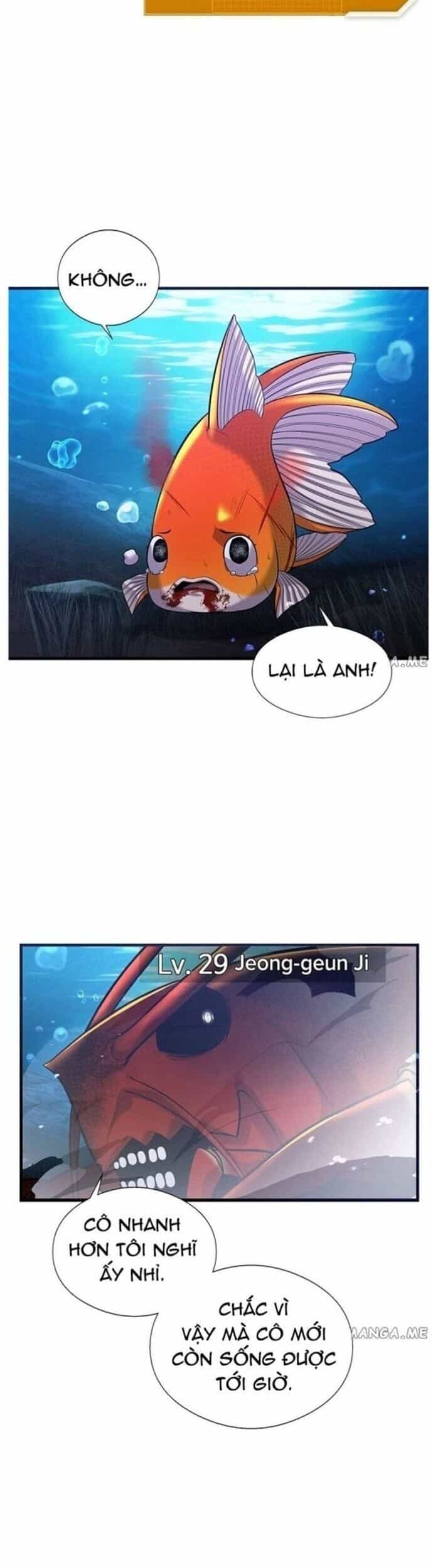 Hoá Thân Thành Cá - Chương 49 - ảnh 22