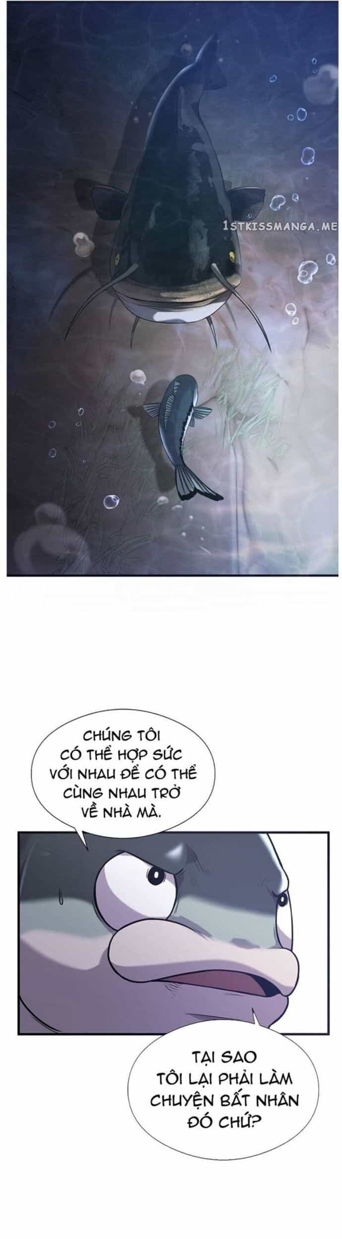 Hoá Thân Thành Cá - Chương 49 - ảnh 25
