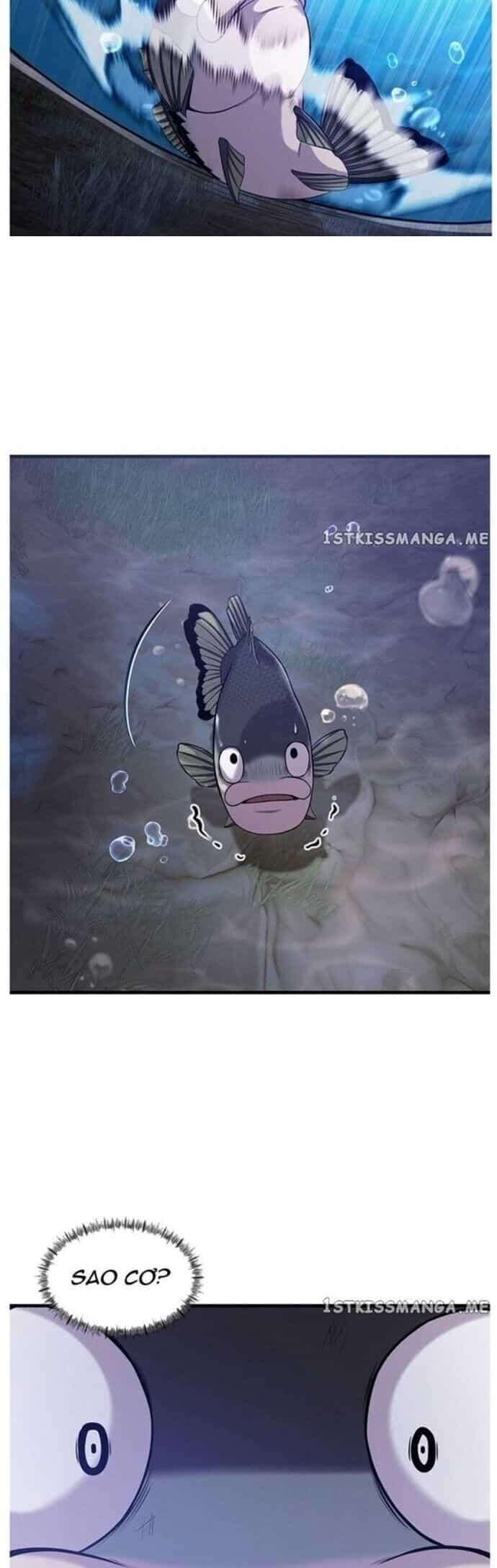 Hoá Thân Thành Cá - Chương 49 - ảnh 32