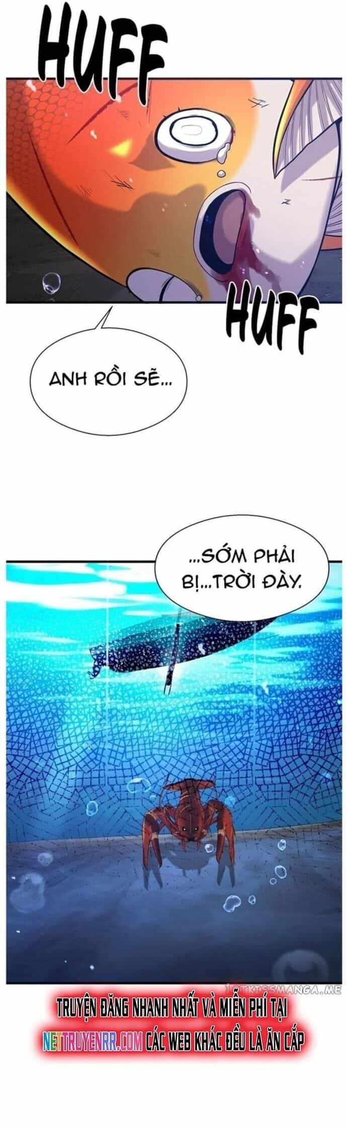 Hoá Thân Thành Cá - Chương 49 - ảnh 50