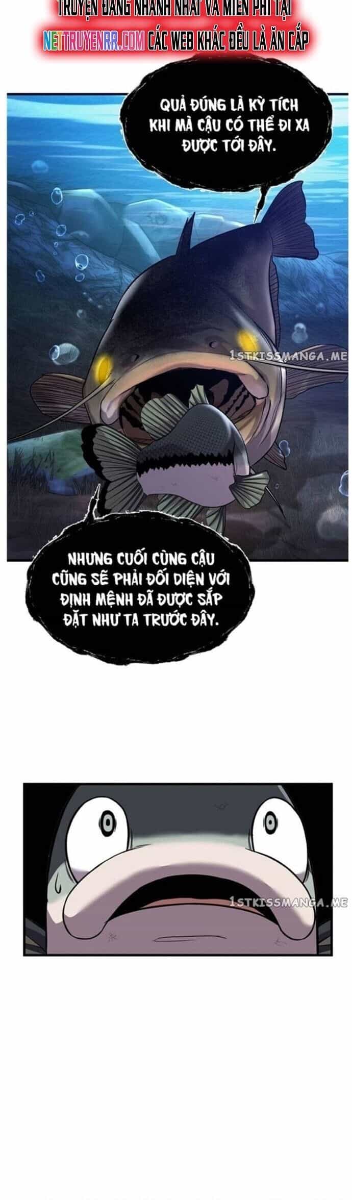 Hoá Thân Thành Cá - Chương 49 - ảnh 8