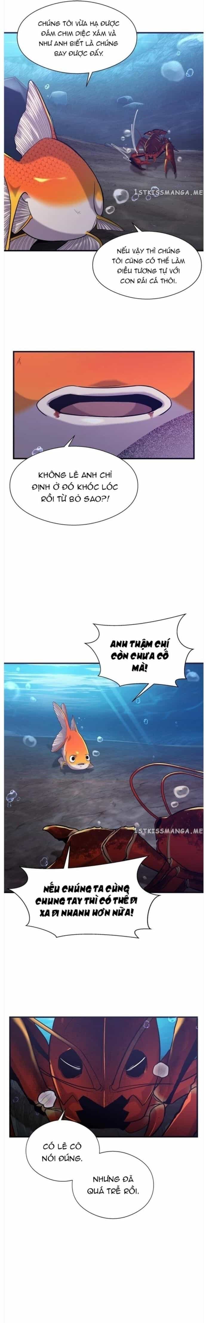 Hoá Thân Thành Cá - Chương 50 - ảnh 11