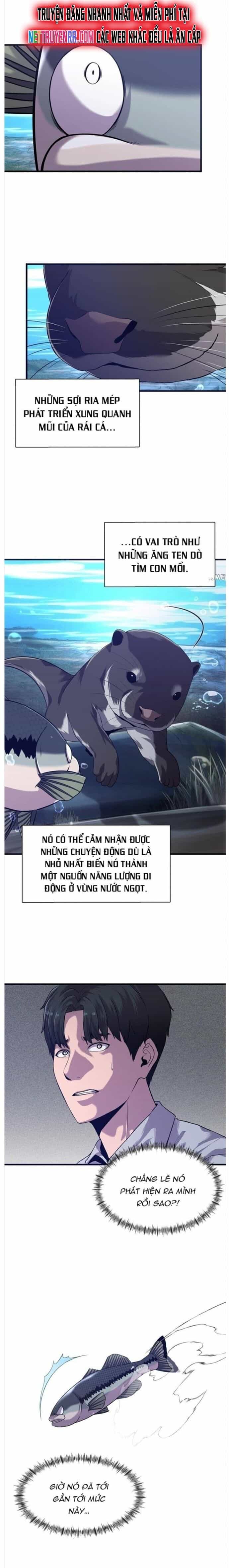 Hoá Thân Thành Cá - Chương 50 - ảnh 2