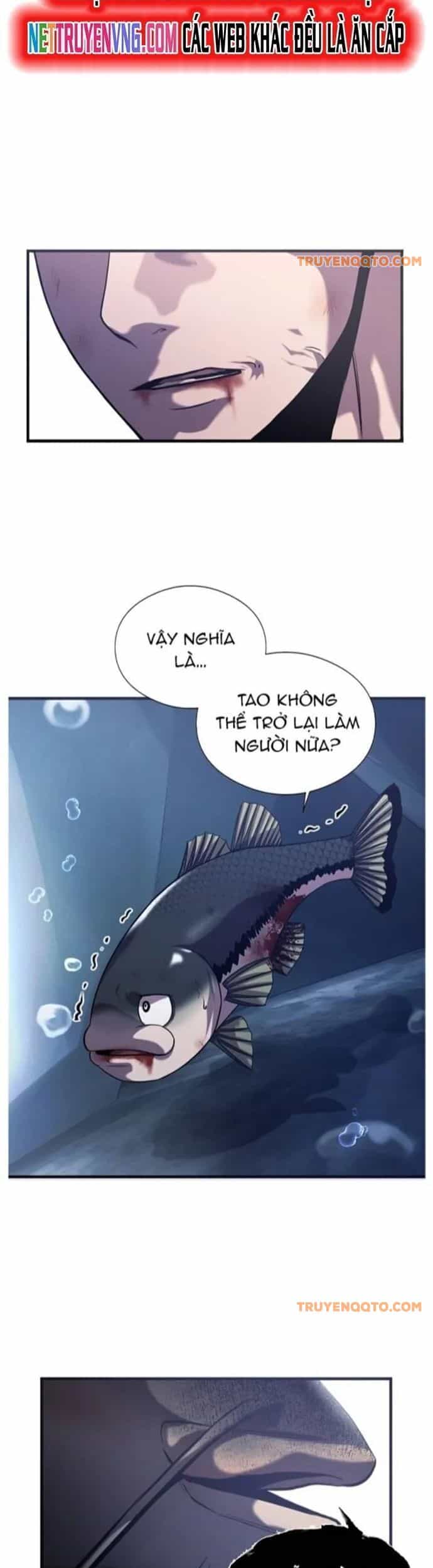 Hoá Thân Thành Cá - Chương 55 - ảnh 15