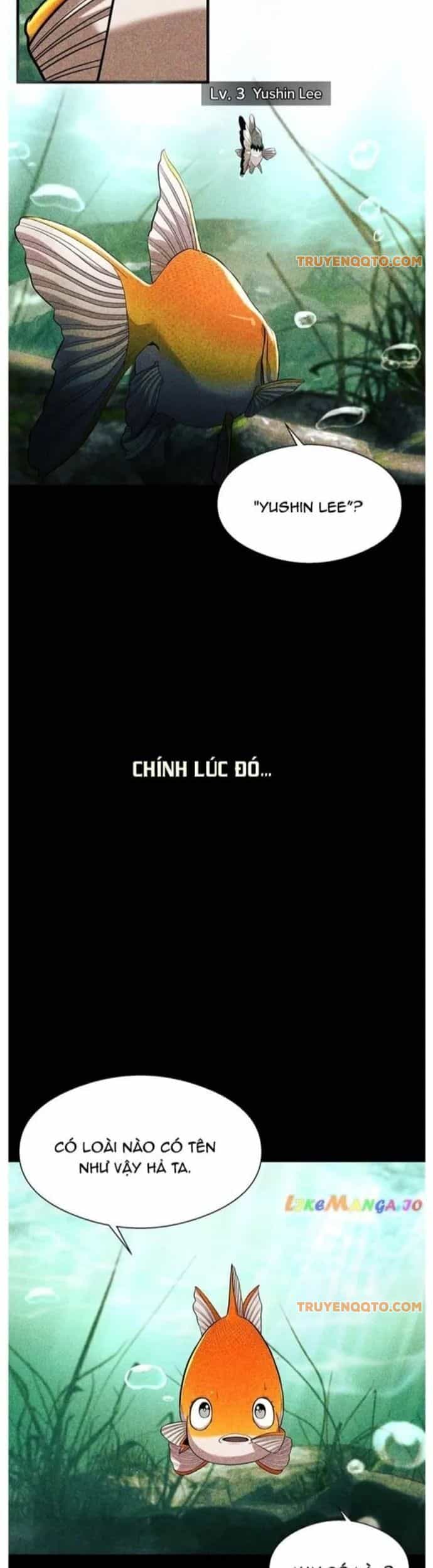 Hoá Thân Thành Cá - Chương 56 - ảnh 15